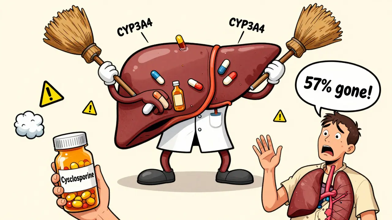 Cartoon liver pushing out drugs with brooms as patient's organs fade away